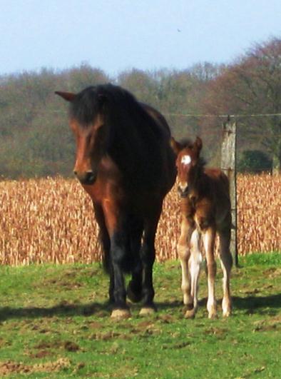Mutter und Tochter